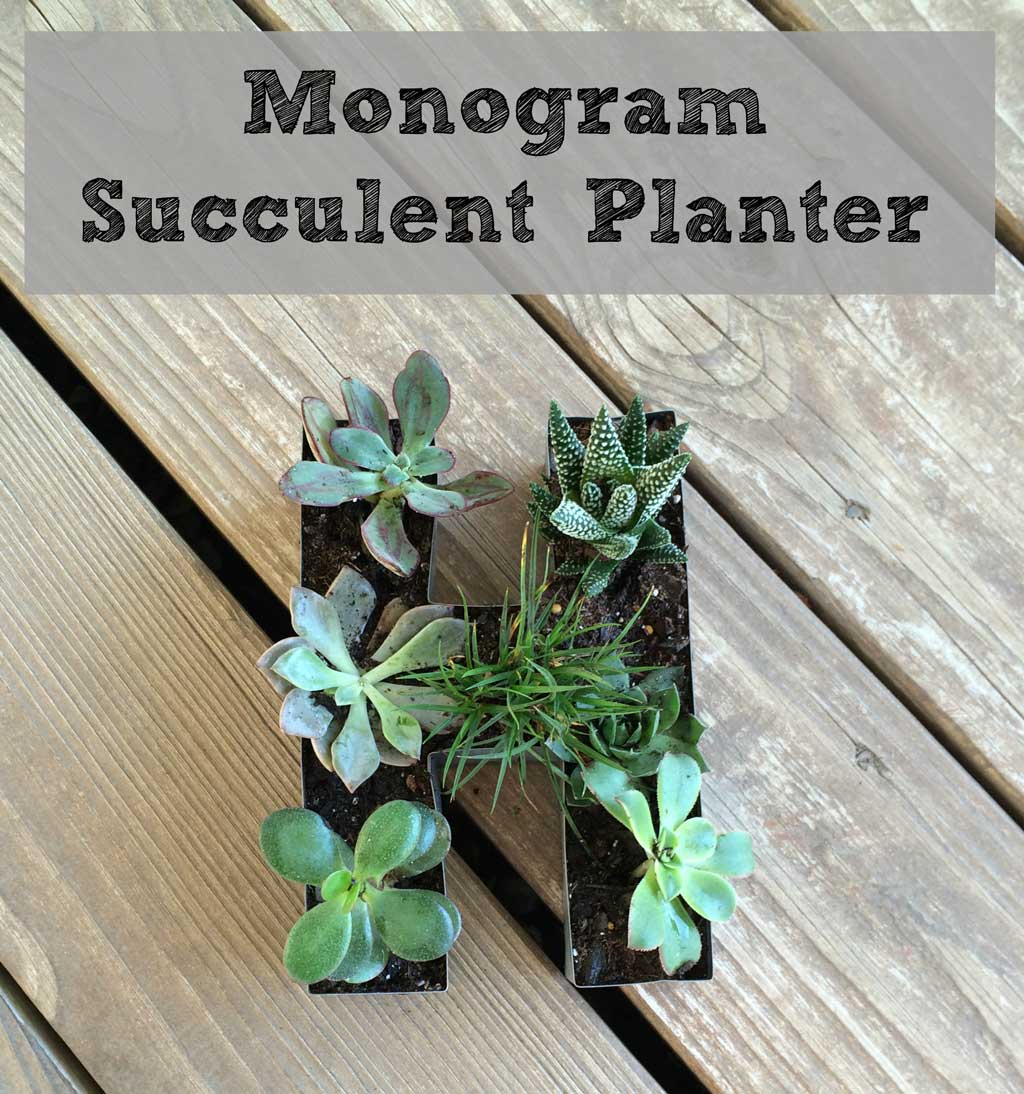 Monogram Succulent Garden